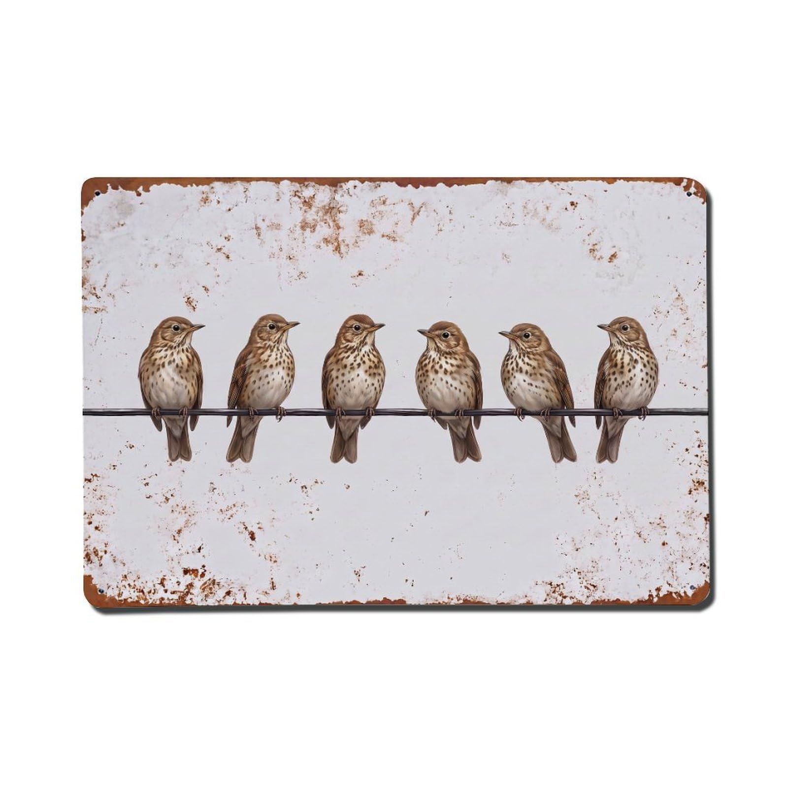 Vintage Retro Birds Song Thrush Metal Tin Sign