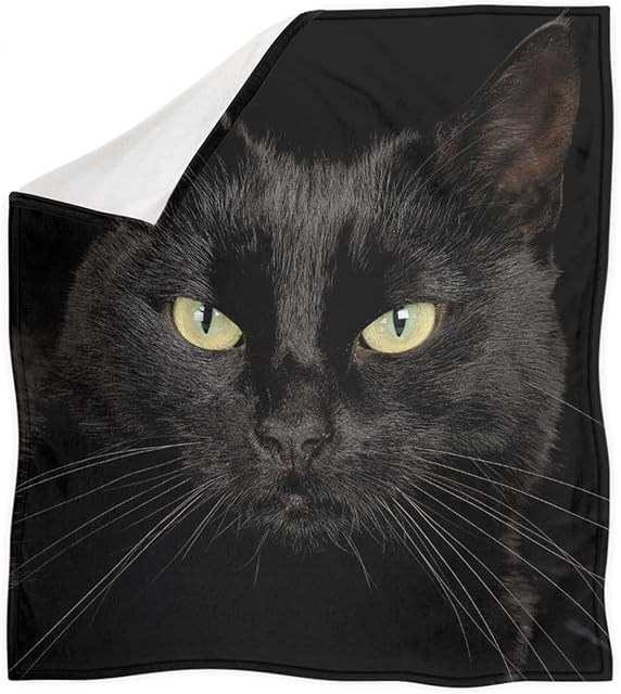Jndtueit Cute Black Cat Print Throws Blanket for Sofa,Office Naps,Couch,Bed,All Season Fleece Flannel Plush Bedding Blanket Super Soft and Cozy Qulits Blanket S