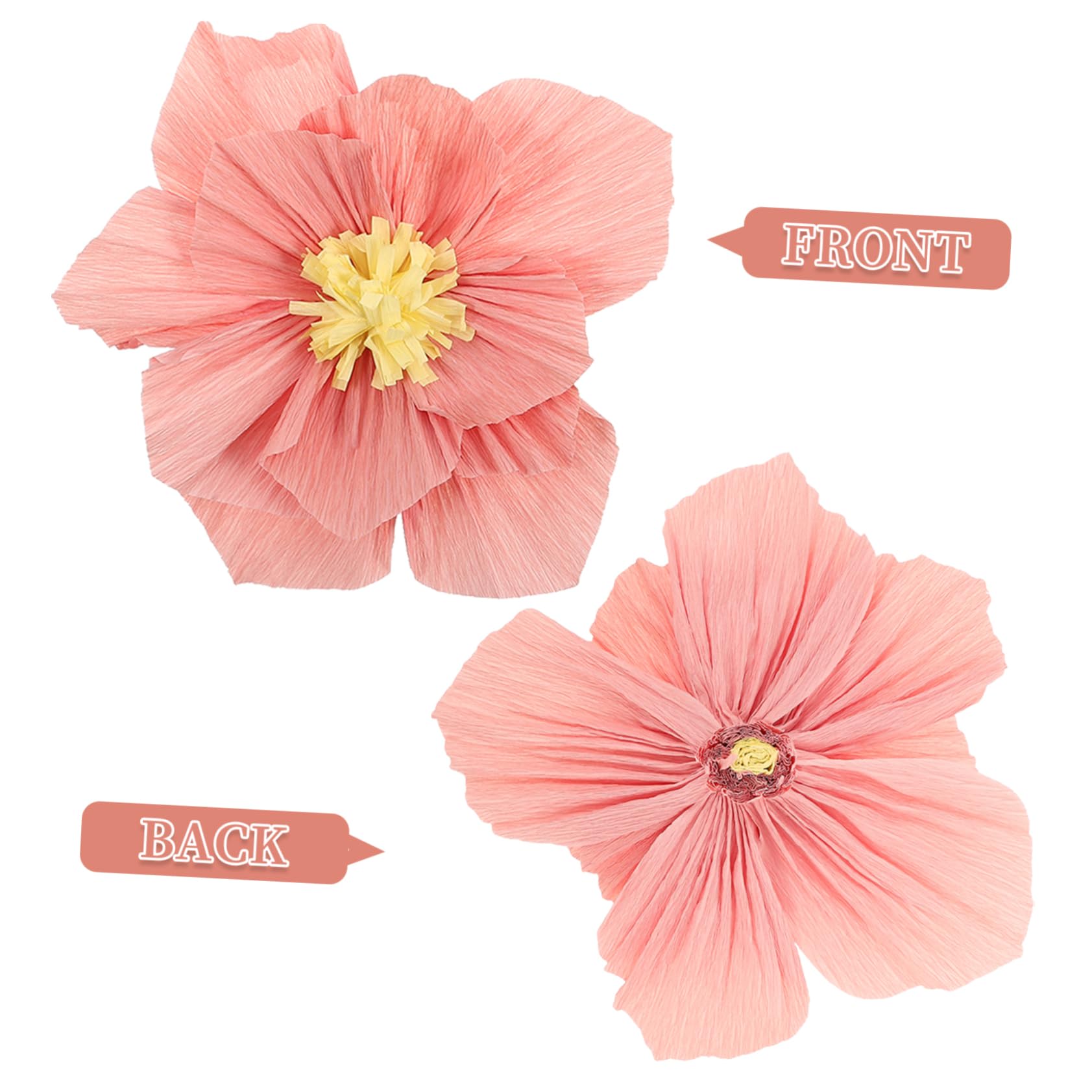 Fleurs en Papier Crépon 24 Pièces pour Décoration Murale 3D