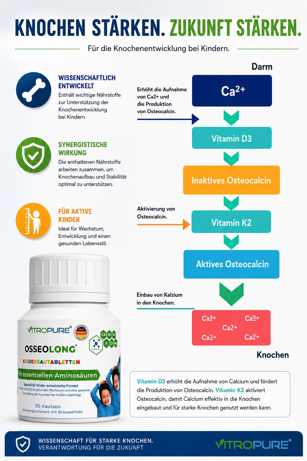 Comprimés à croquer OsseoLong® : Combinaison unique : Acides Aminés à Chaîne Ramifiée (BCAA), Calcium, Vitamine D3, Zinc et Magnésium pour le développement osseux.