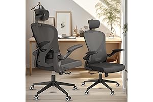 Sichy Age Ergonomic Office Chair with 300LBS Capacity