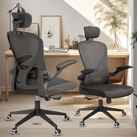 Sichy Age Ergonomic Office Chair with 300LBS Capacity
