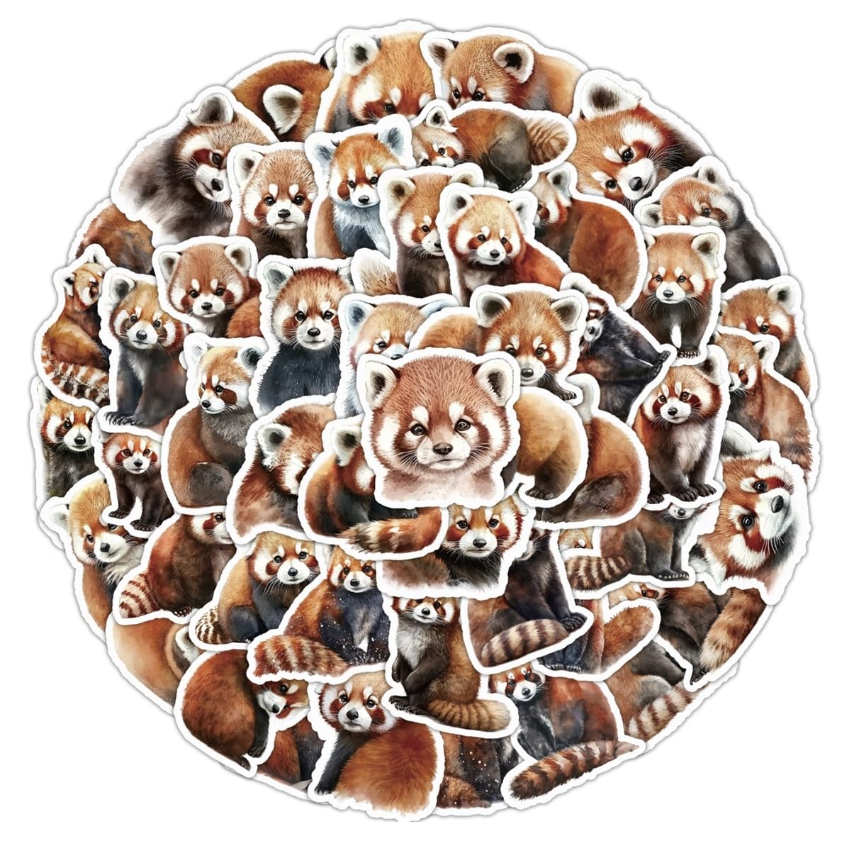 Amazon.co.jp: レッサーパンダ パンダ panda 動物園 シール ステッカー
