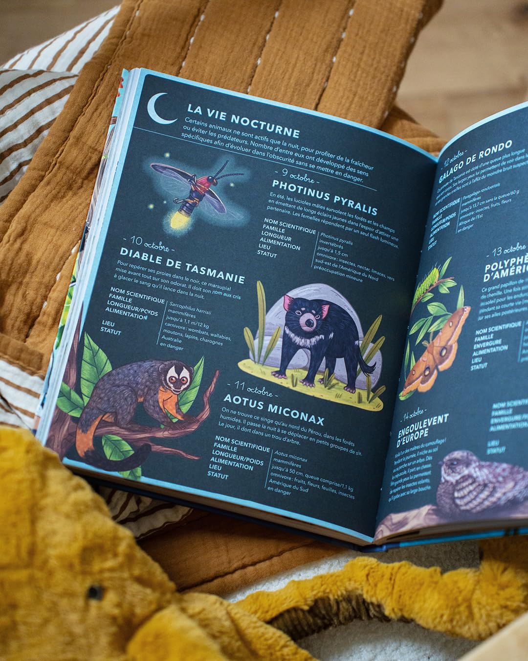 365 Animaux : Découvrez le Meilleur de la Faune Chaque Jour!