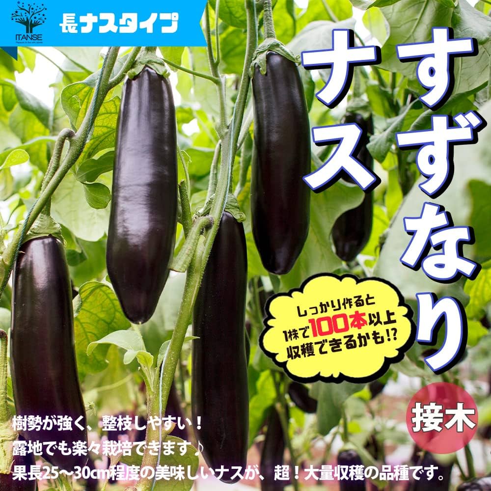 71fhTVw1kyL._AC_UF1000,