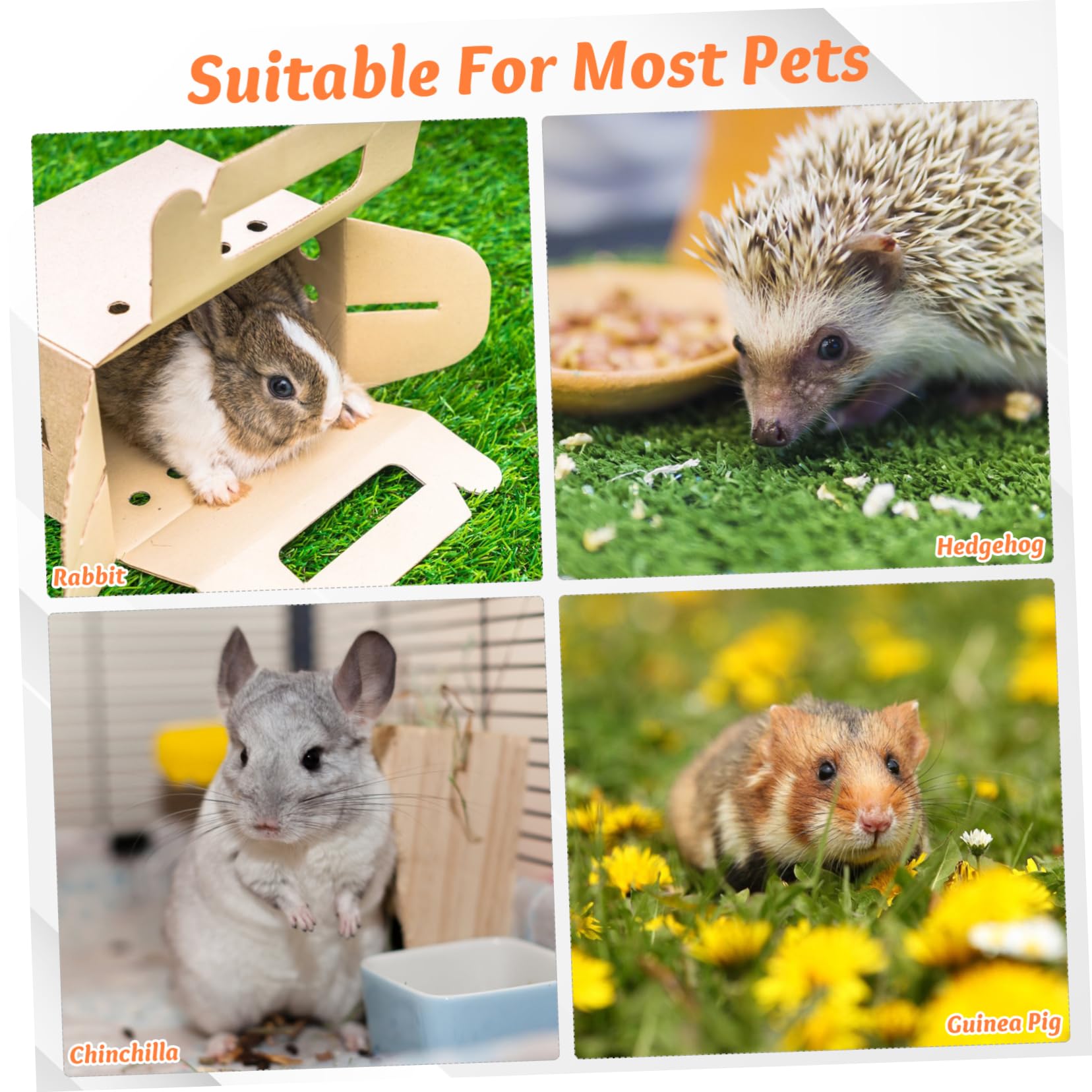 SUPVOX 30pezzi Giocattoli Per Conigli Naturale Giocattoli Da Masticare e Confortanti Per Piccoli Animali Per Roditori Come Conigli Porcellini e Scoiattoli
