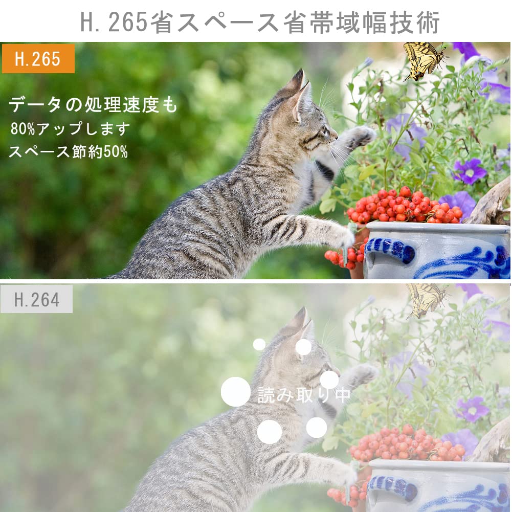 Amazon.co.jp: KPACOT 防犯カメラ 屋外 ip カメラ 500万画素
