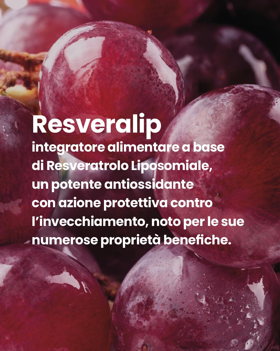 Élève Niki Natural Alchemy Resveralip Resveratrolo Liposomiale, Integratore Alimentare Antiossidante ad Alta Biodisponibilità, Stick Orosolubili Facili da Assumere, Senza Glutine e Lattosio, 30 Stick