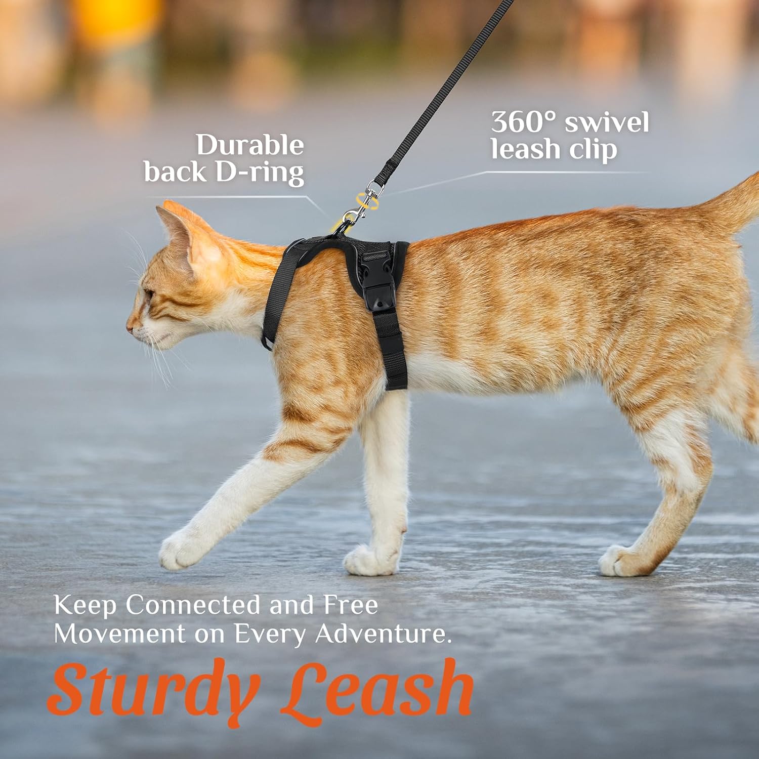 Dooradar Cat Harness and Leash Set with Neck Release Buckle, Black | Escape Proof, 3 Easy-on Buckles, Smooth & Lockable Adjustment, Soft Air Mesh, Reflective, for Medium to Large Cat Walks, M