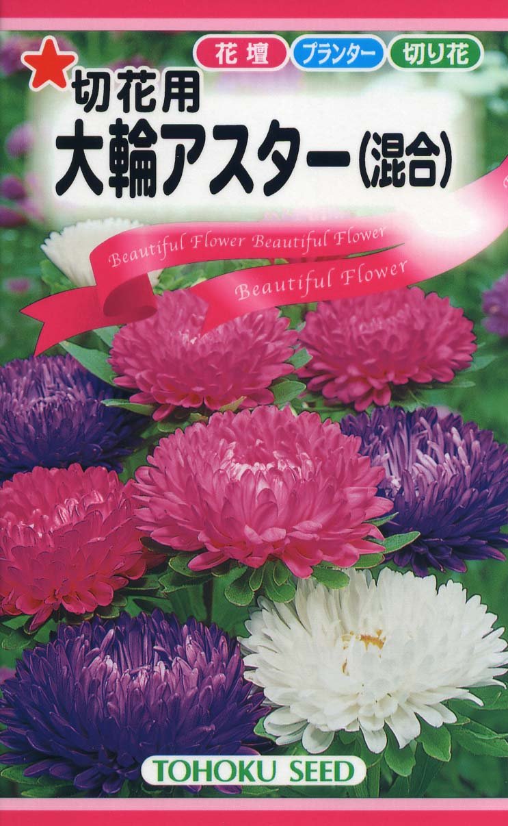 Amazon | 株式会社トーホク 大輪アスター（混合） 00070 | 花