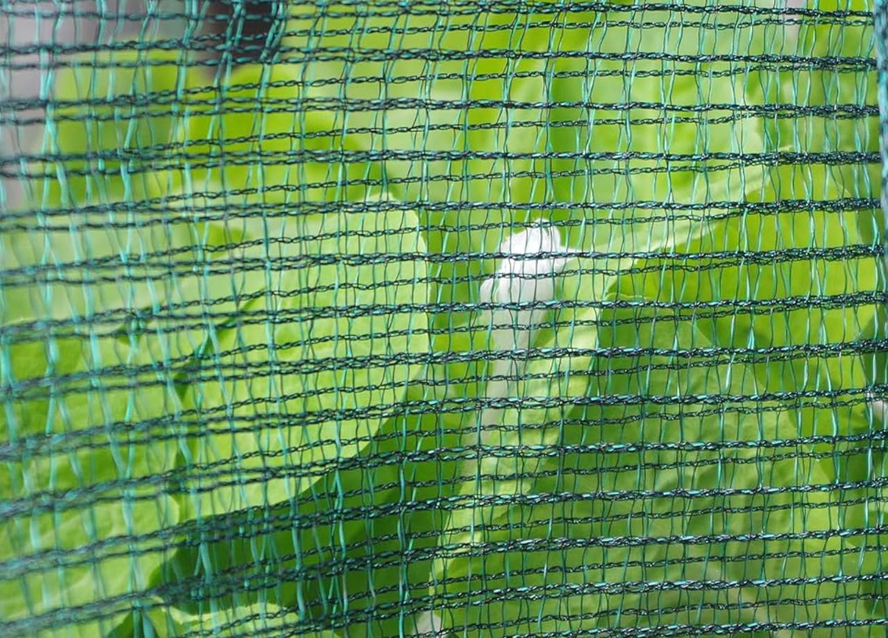 BIANCHERIAWEB Rotolo Telo Anti Grandine Verde Ammortizzante Rete Protettiva Auto E Orto 1.5x10 Rete