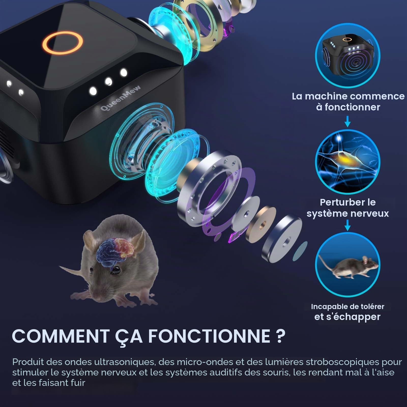 Ultrasons Souris et Rats 360°, 3 Modes Répulsif Souris Brancher avec 12 Lumières Stroboscopiques, 300 M² Large Portée Ultrasons Anti Rongeurs pour Souris Rat Araignée Moth Fourmi