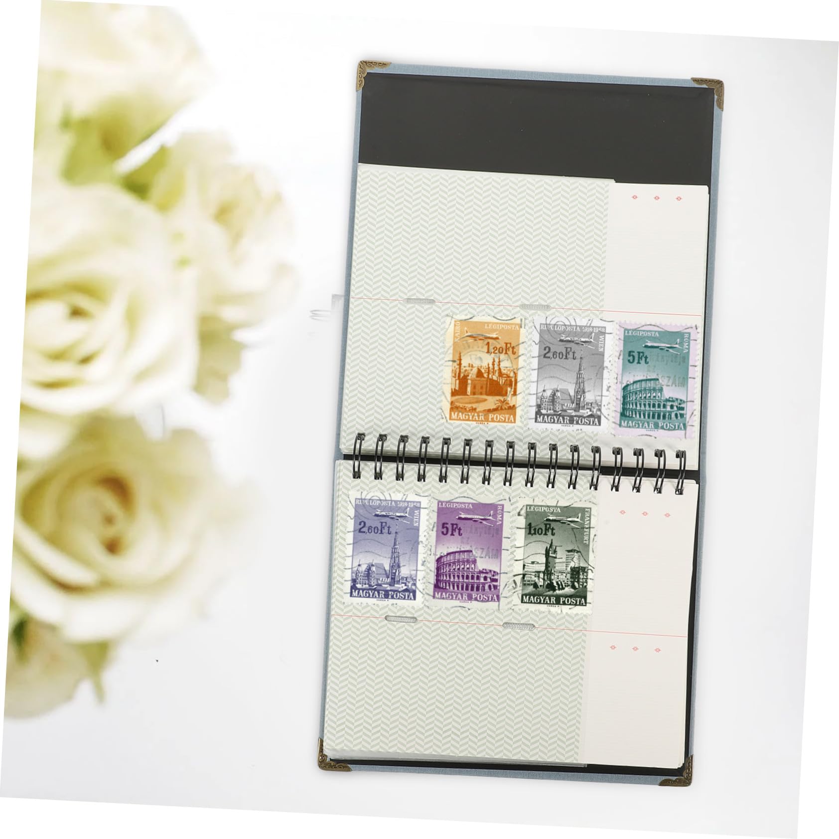 Album di Raccolta Biglietti per Concerti e Film in Carta | Ticket e Fatture, Raccolta e Archiviazione Ordinata, Formato Libro Portatile per Collezioni