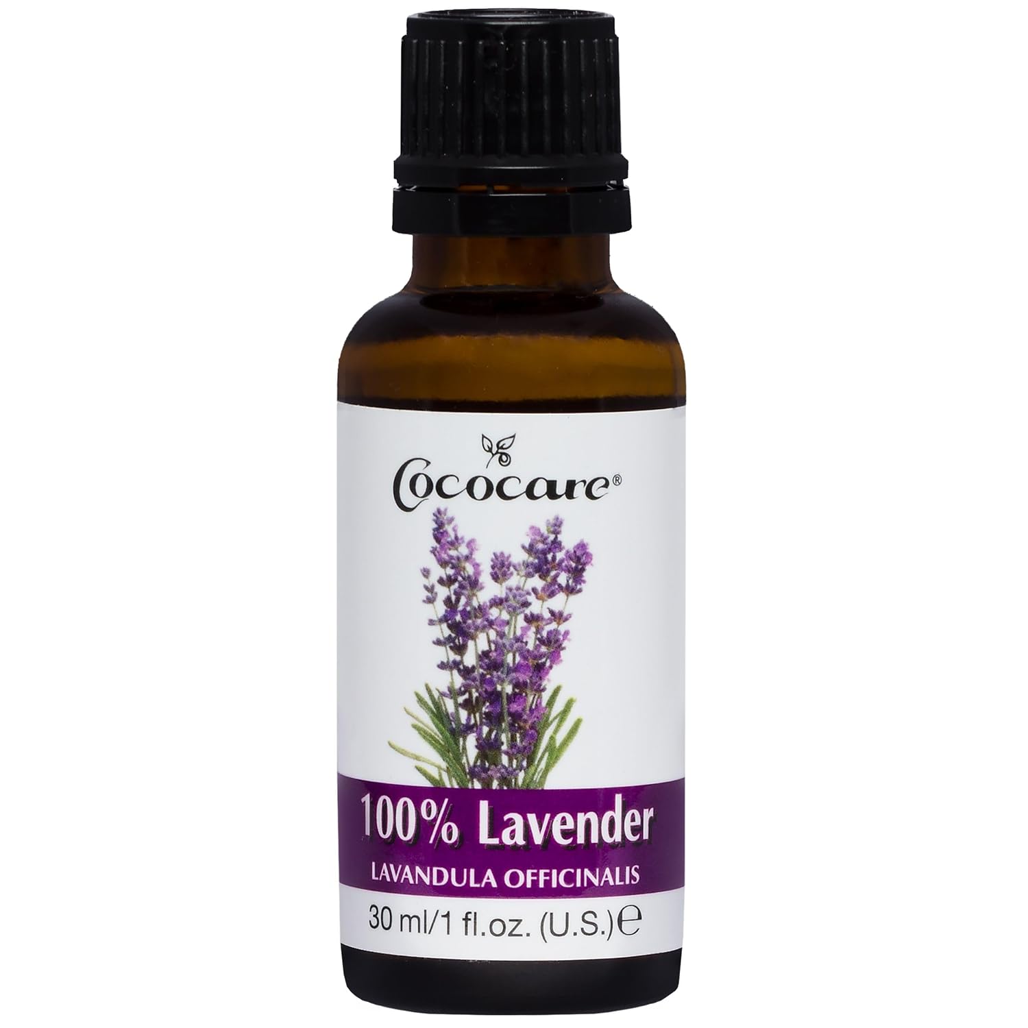 Cococare 100% Lavender Oil - Essential Oil from Lavender Flowers for Skin and Hair - 1 fl oz
