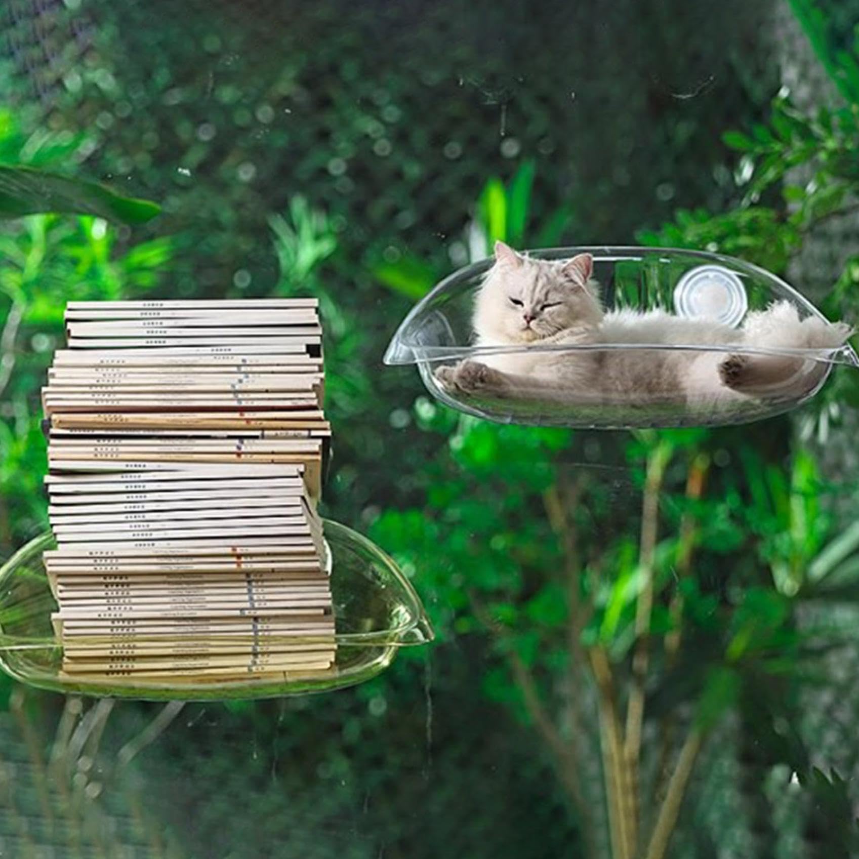 Katzen Hängematte für Fensterplätze - Sommer Abkühlen, Klappbar, 50x30cm, Stabil Saugnäpfe bis zu 10kg, Rosa (Transparent)