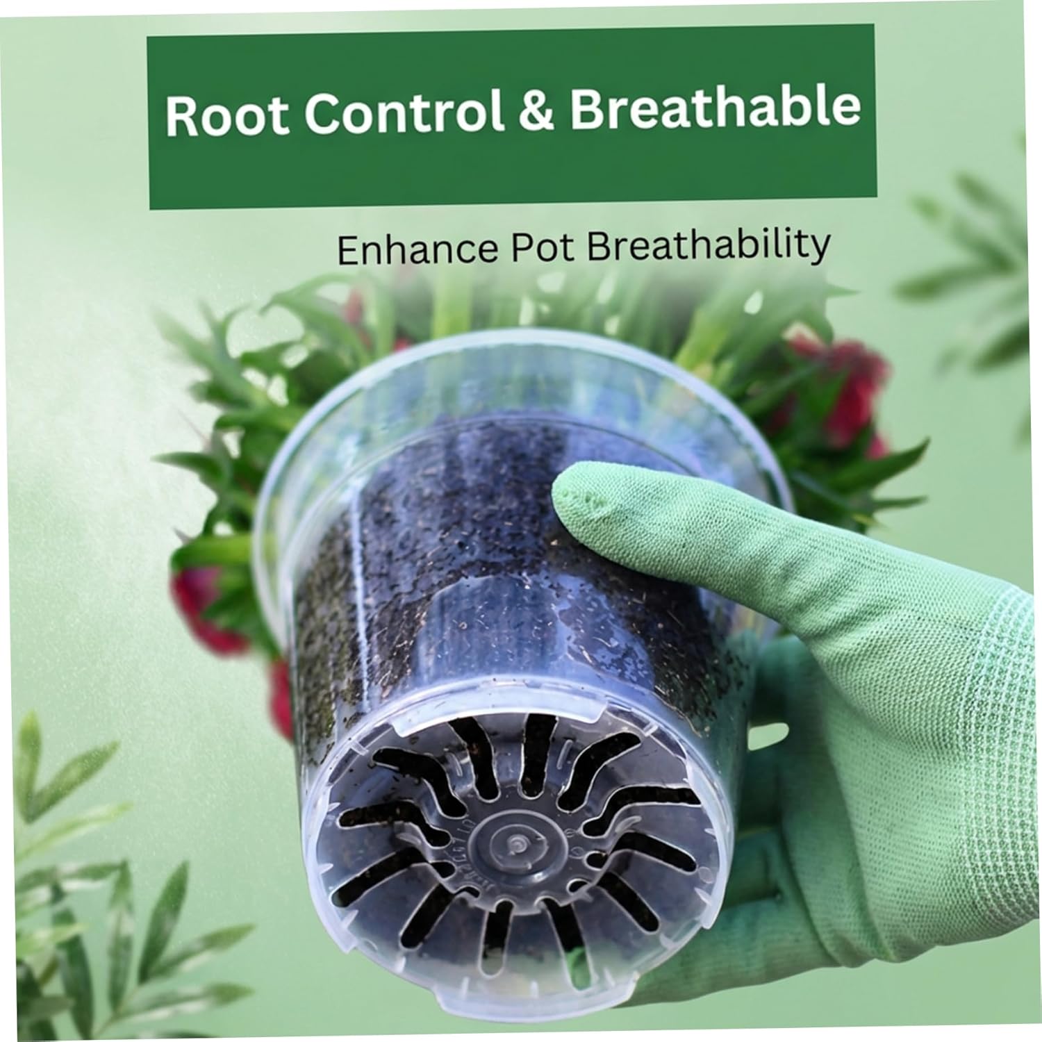 Clear Nursery Pots with Drainage, 12 Pack - 6, 8, 9.5 Inch Transparent Plant Pots for Easy Root Monitoring and Healthy Growth..