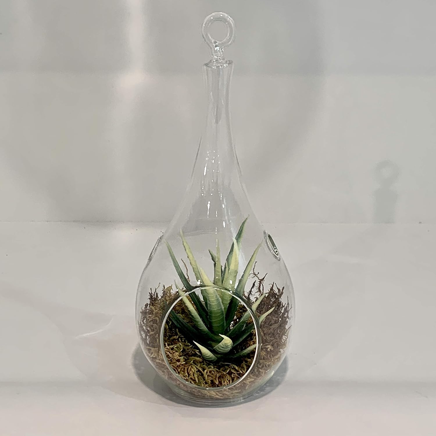 WGV Glass Hanging Plant Terrarium Bulk, Width 4.75", Height 9.5", Teardrop Pear DIY Air Succulent Planter Clear Tea Light Votive Candle Holder, Wedding Event Office Home Outdoor Decor, 6 Pieces