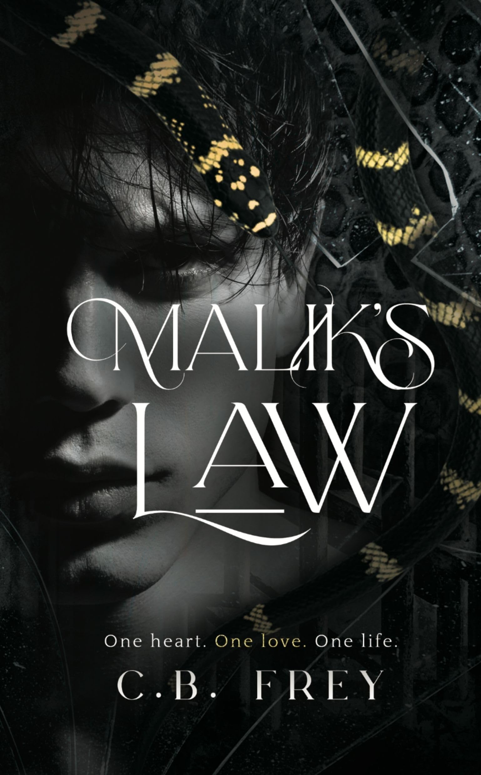 Malik's Law: A Dark Romance