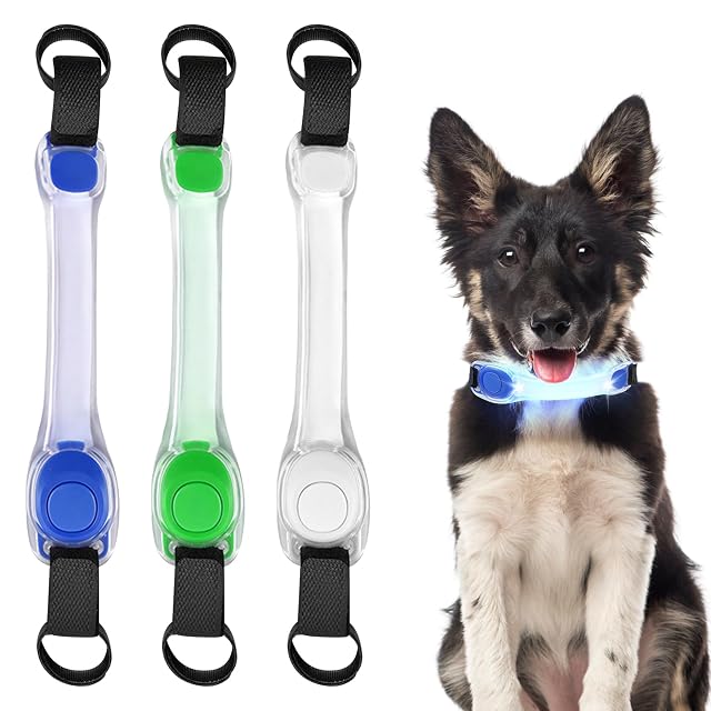Collar de perro luminoso, banda luminosa para perro