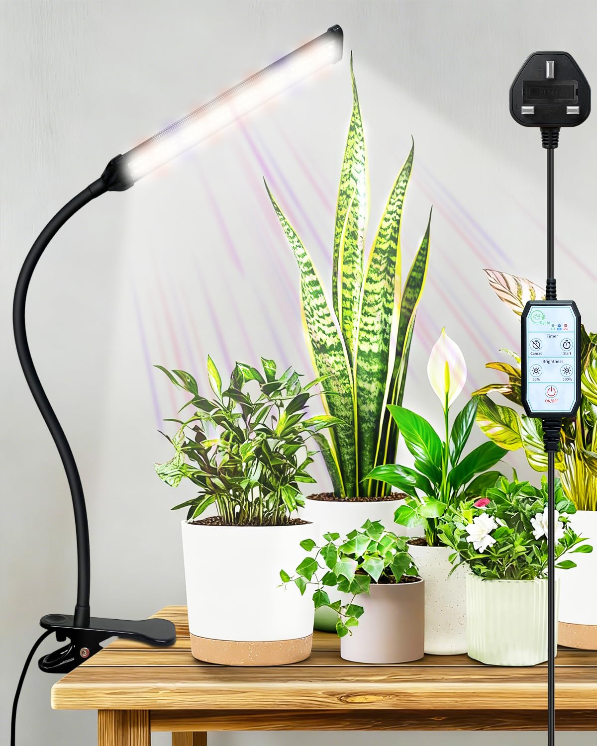 LED Grow Lights for Indoor Plants, Seedlings, Succulents (1-Head)