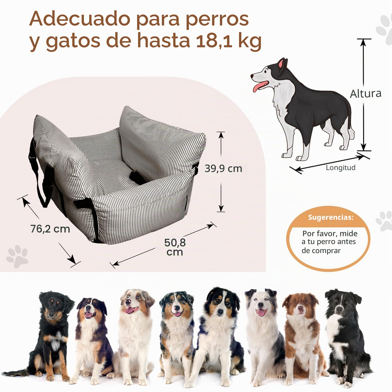 Asiento elevador de coche para perros pequeños y medianos, cinturón de seguridad, base antideslizante y bolsillos de almacenamiento