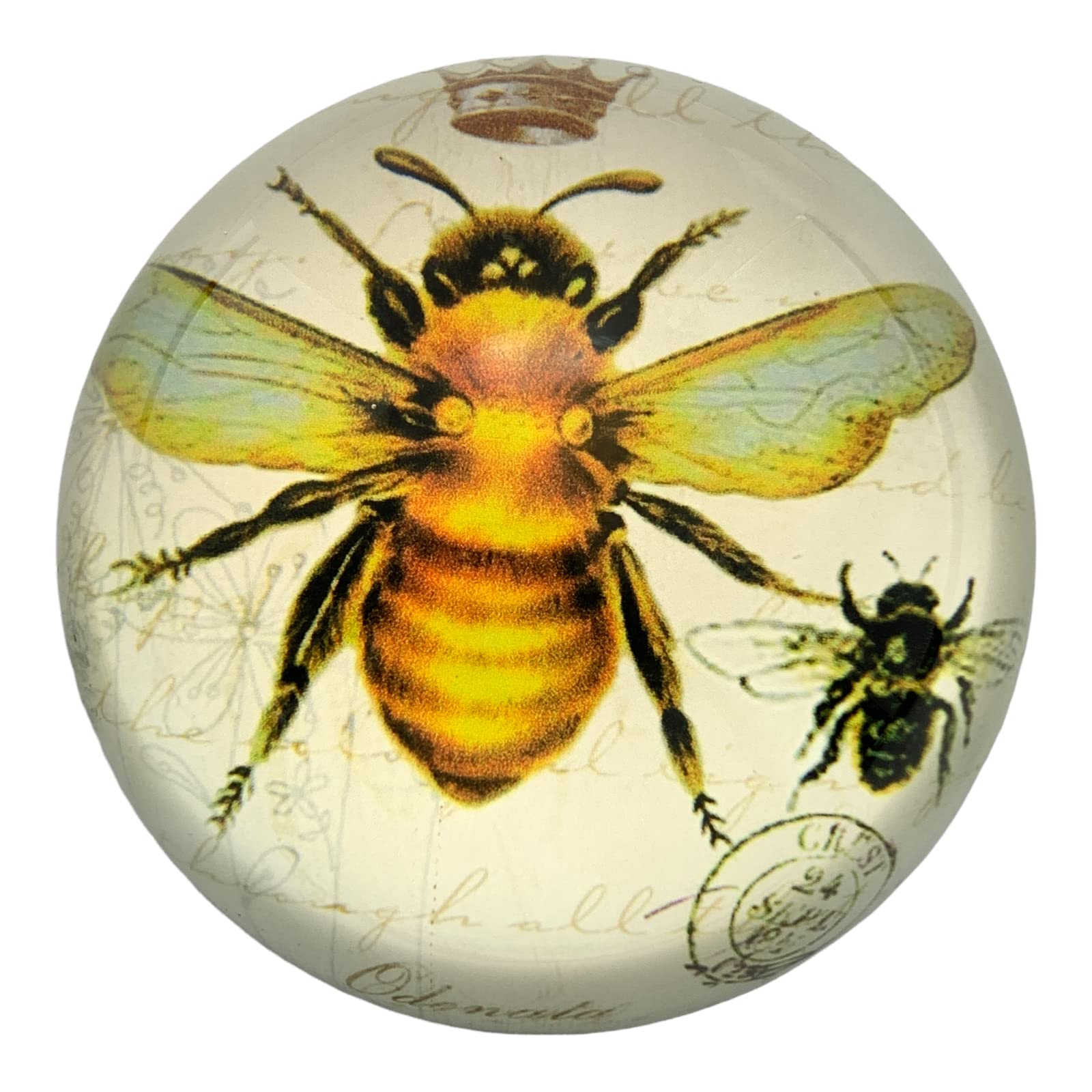 daum France フクロウ　ペーパーウェイト　ドームフランス Daum France ドームクリスタル ガラス工芸 フクロウ 梟