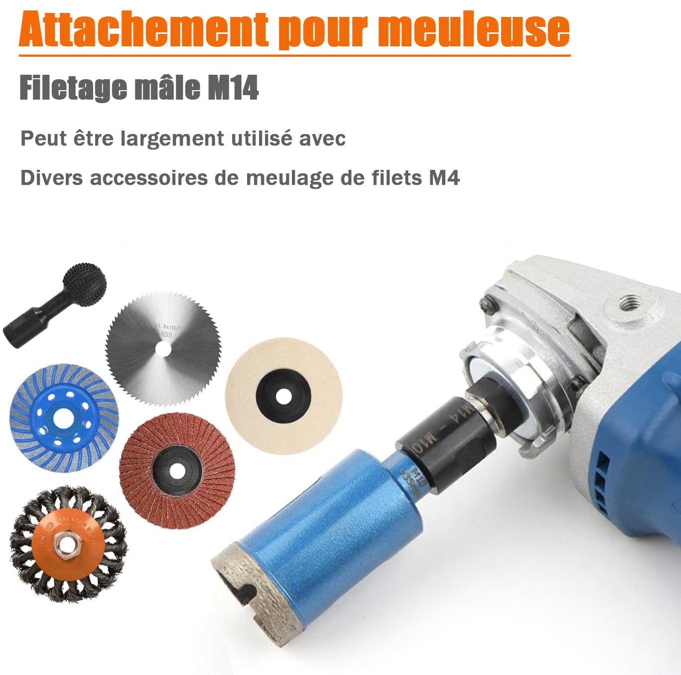 Adaptateur M10 Mâle à M14 Femelle pour Meuleuse d'angle Polisseuse Filetage Convertisseur