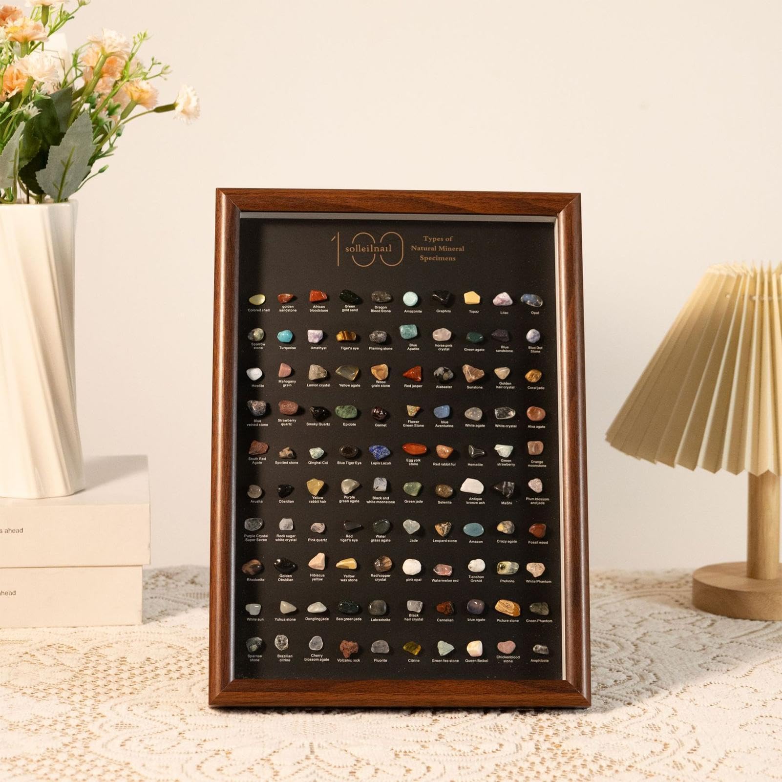 Colección de cristales para los niños Surtido aprendizaje geología | Colección de Cristales Naturales con Vitrina Para Profesores en Ciencias, Entusiastas, Estudiantes, Coleccionistas