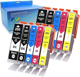 10 Pack - Compatible Ink Cartridges for Canon PGI-250 & CLI-251 XL Inkjet Cartridge Compatible With Canon Pixma MG5420 MG5450 MG5520 MG6320 MG6350 MG6420 MG7120 MX722 MX725 MX922 MX925 iX6820 iX6850 iP7220 iP7250 iP8720 iP8750