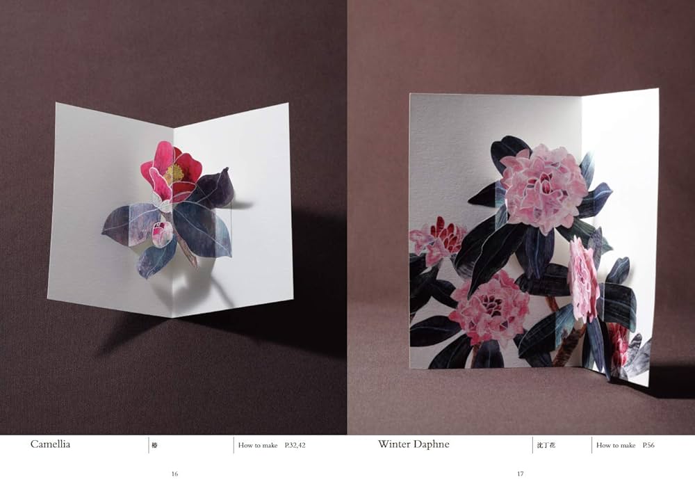 「PAPER BLOSSOMS」 花のポップアップ本 豪華版 お花のポップアップ（Paper Blossoms） | Ray Marshall