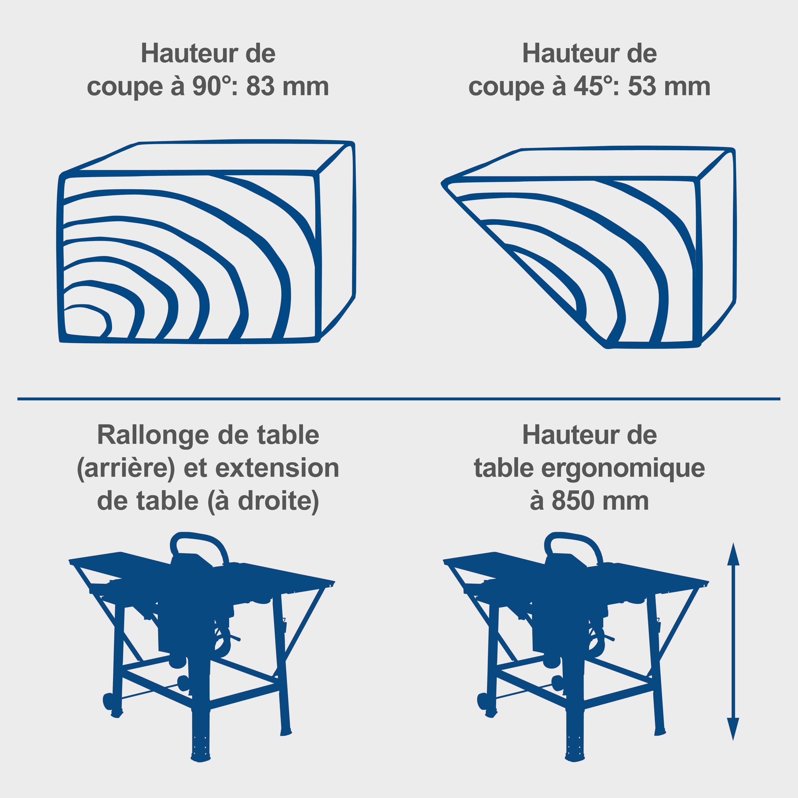 Scheppach Scie circulaire sur table TS310 | 400V | 2200W | Lame Ø315mm | Hauteur de coupe 83mm | Avec élargissement de table, 2ème lame, rail de guidage & chariot coulissant | inclinable jusqu'à 45°