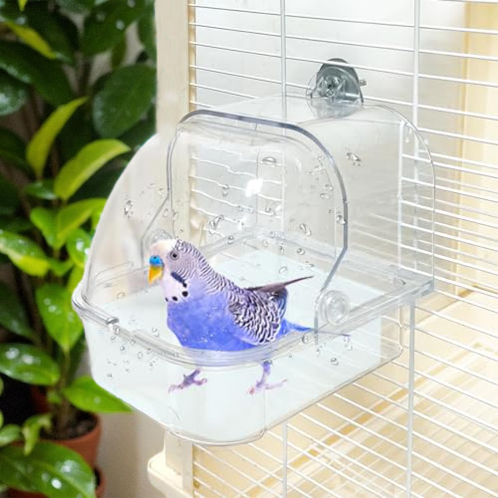 Bañera de limpieza transparente que previene el escape de loros