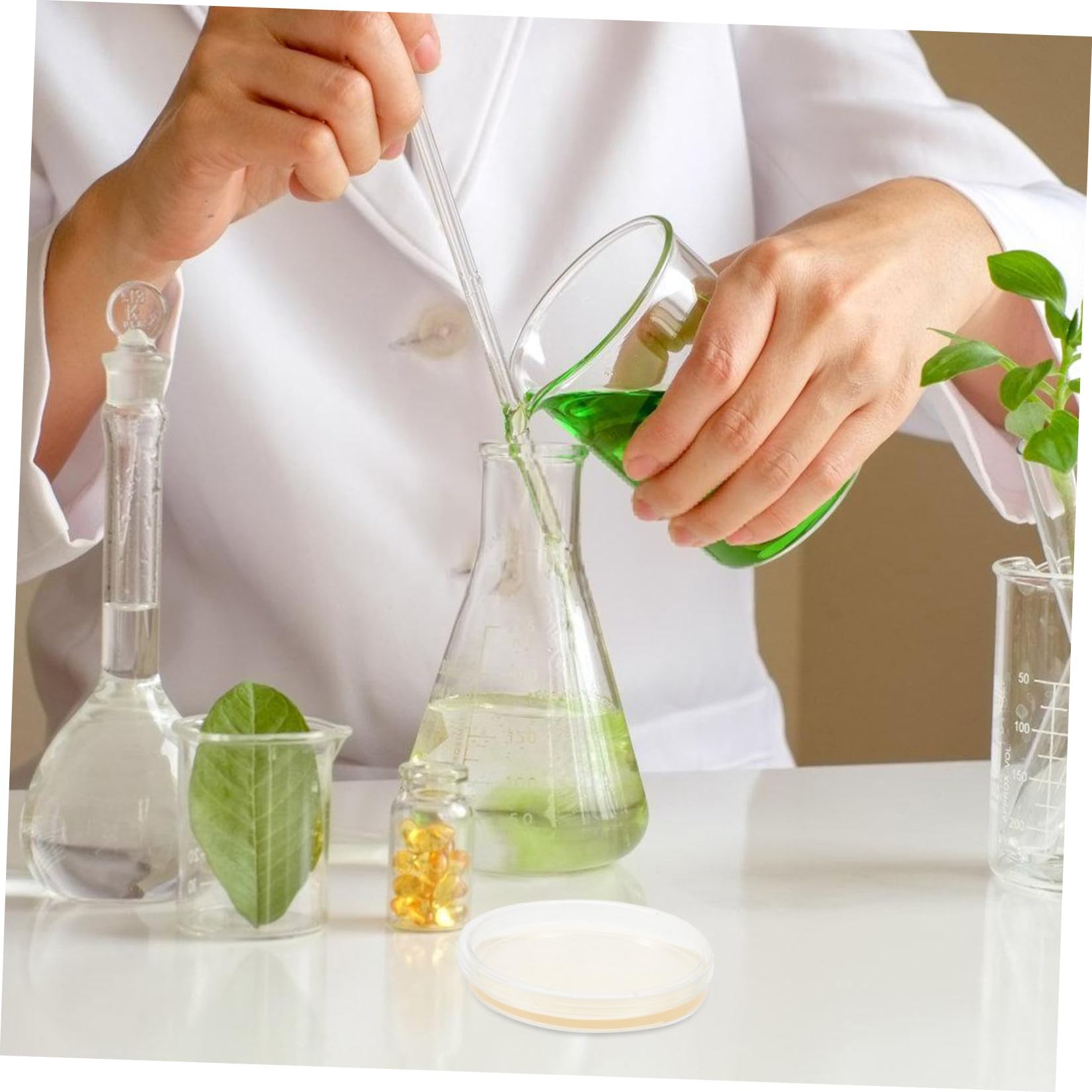 20 Placas de Petri Redondas de Agar Nutritivo Lb Pre-vertidas de 9 Cm Tapas Ajustadas para Cultivo de Hongos y Experimentos Científicos en Laboratorio Estudiantil