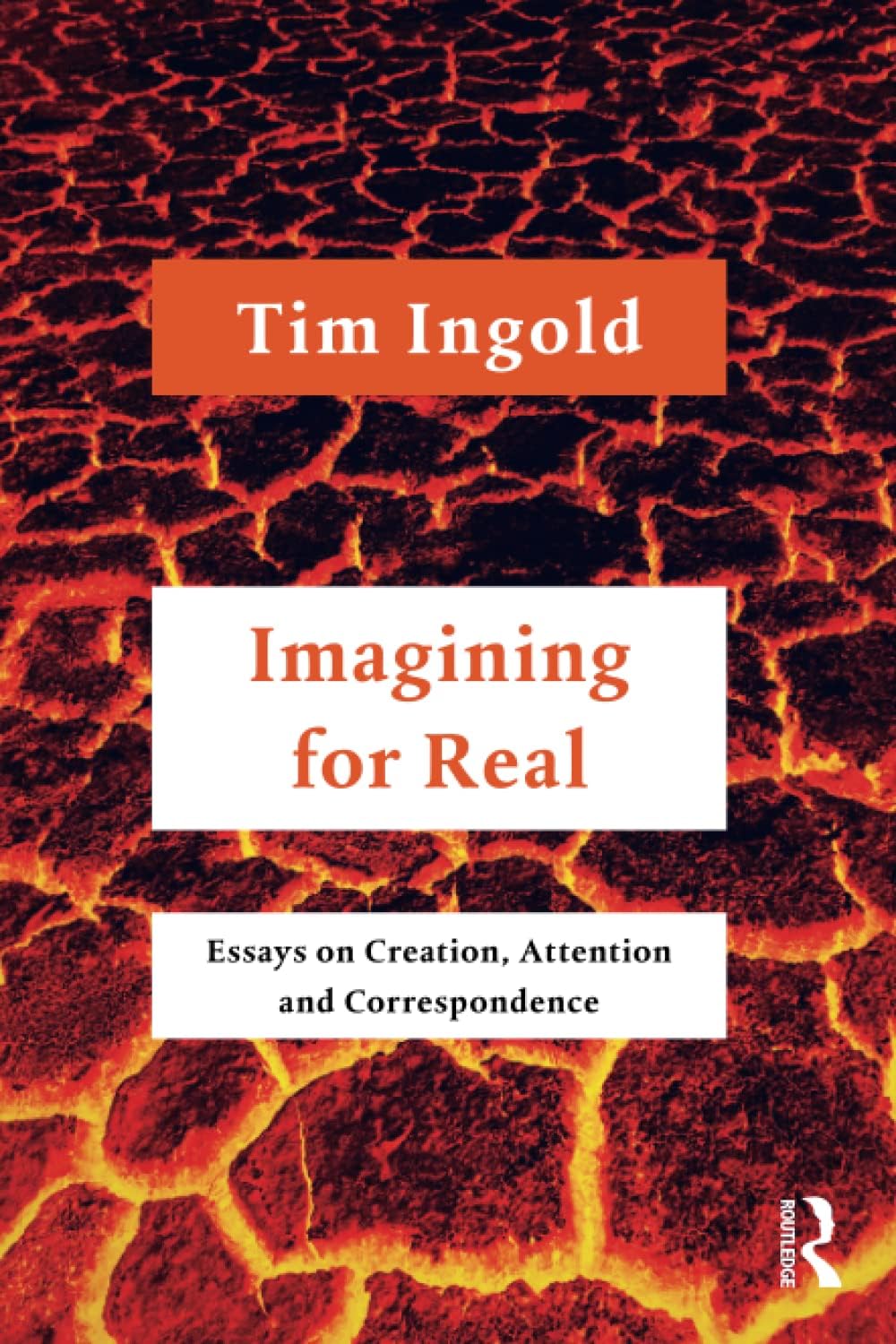 Imagining for Real: Essays on Creation, Attention and Correspondence