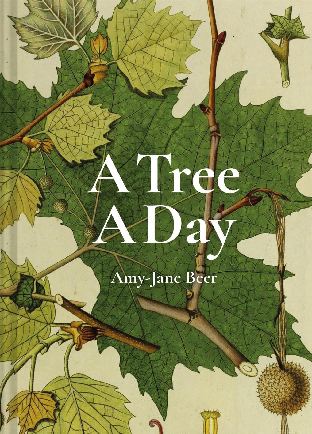 A Tree A Day by Amy-Jane Beer HARDBACK 9781849946520