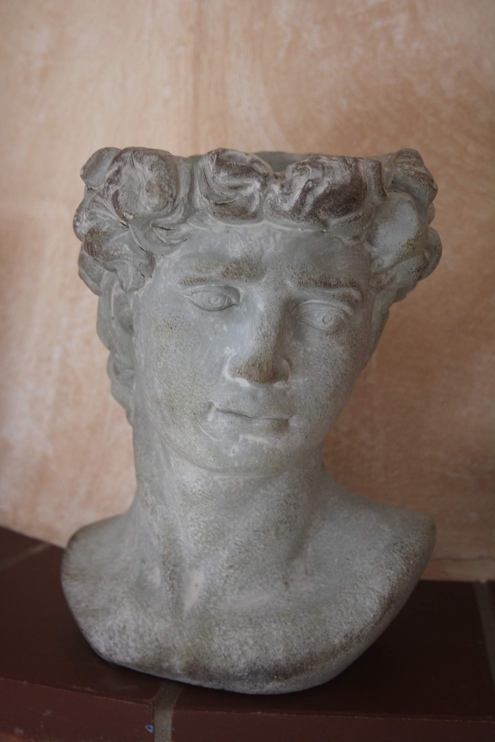 Buste David en ciment H 22,5 cm