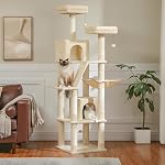 PAWZ Road [34''=86CM] Tour Cat Tree avec deux condos Cat pour les grands chats intérieurs, arbres Cat avec perche amovible et enrobé de scratch Sisal Post, Beige