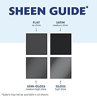 Vista 9 de Rust-Oleum Painter's Touch 2X Ultra Cover 329200 - Pintura en aerosol, 12 onzas, color menta moderna brillante