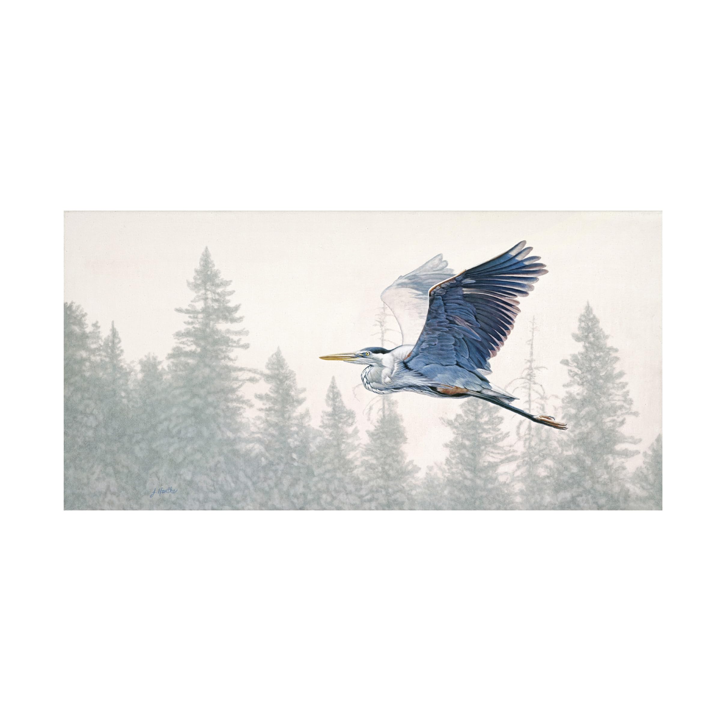 Judith Hartke 'We Have Lift Off' Canvas Art