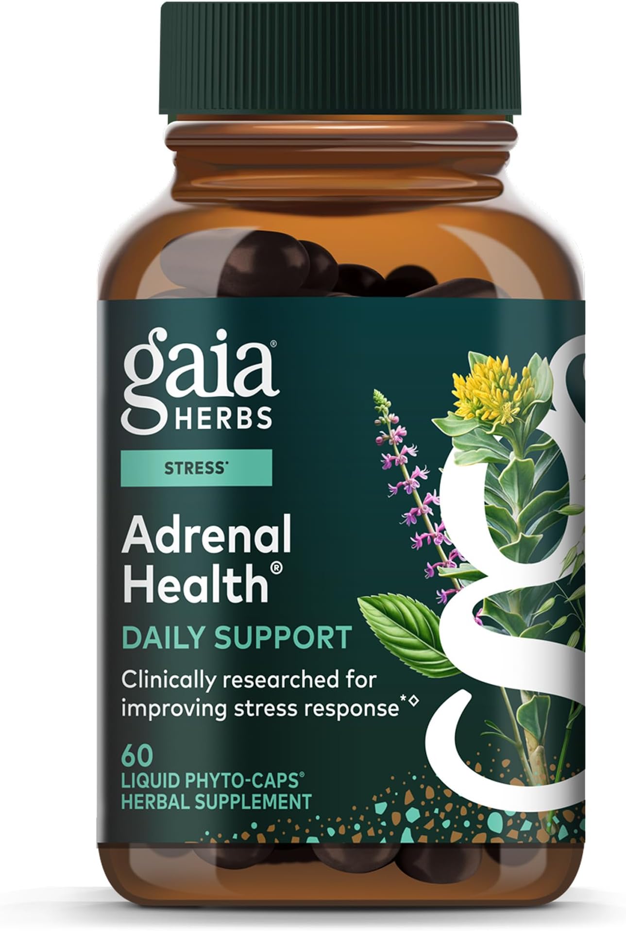 Gaia Herbs Adrenal Health Daily Support - Herbal Supplement with Ashwagandha, Holy Basil & Schisandra - Help Maintain Healthy Energy & Stress Levels* - 60 Vegan Liquid Phyto-Caps (30 Servings)