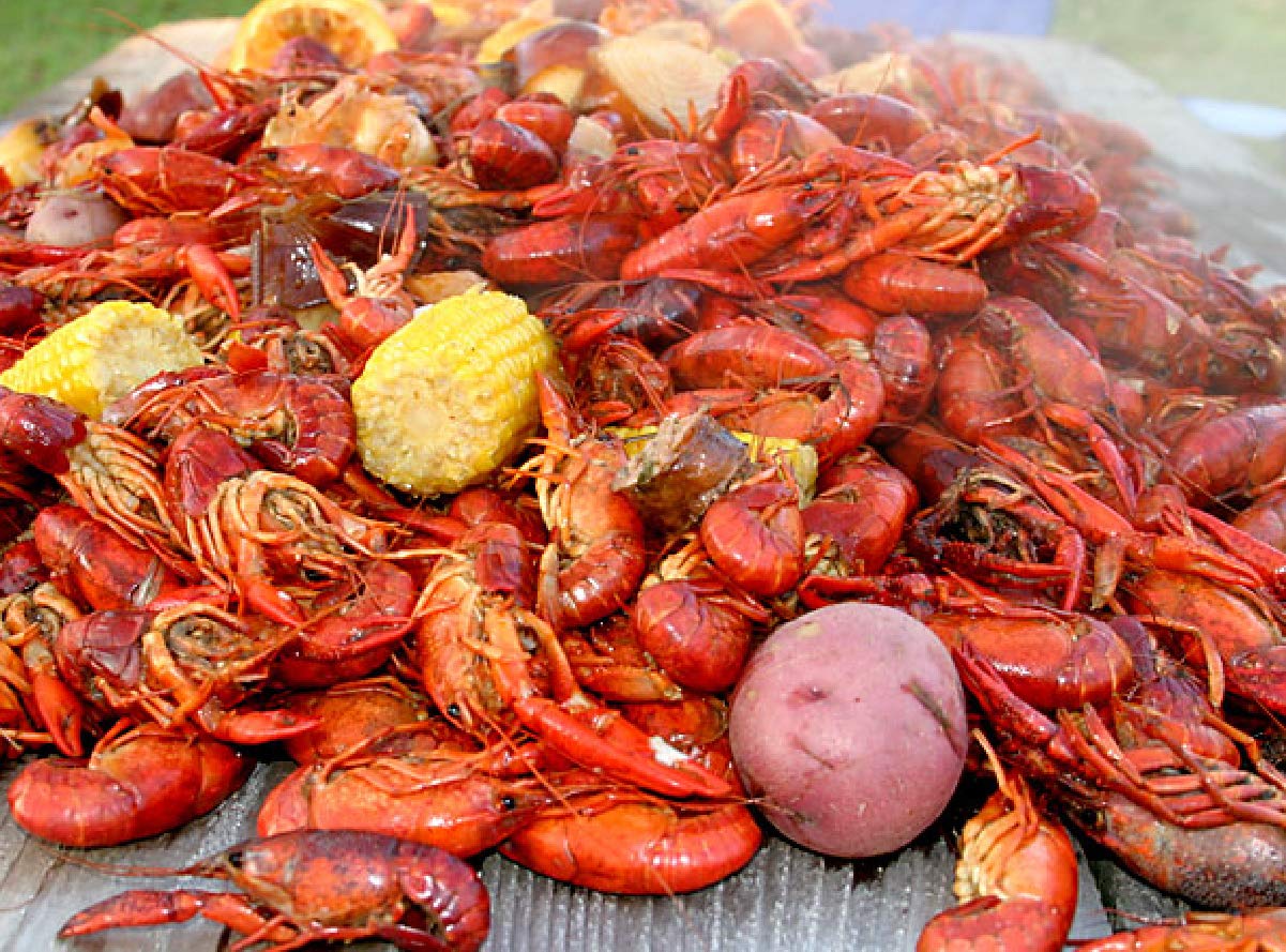 2 Gringos Chupacabra Cajun Seasoning Blend, 25 Ounces - Image 5