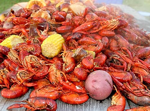 Miniatura 3 de 2 Gringos Chupacabra Juego de muestreo