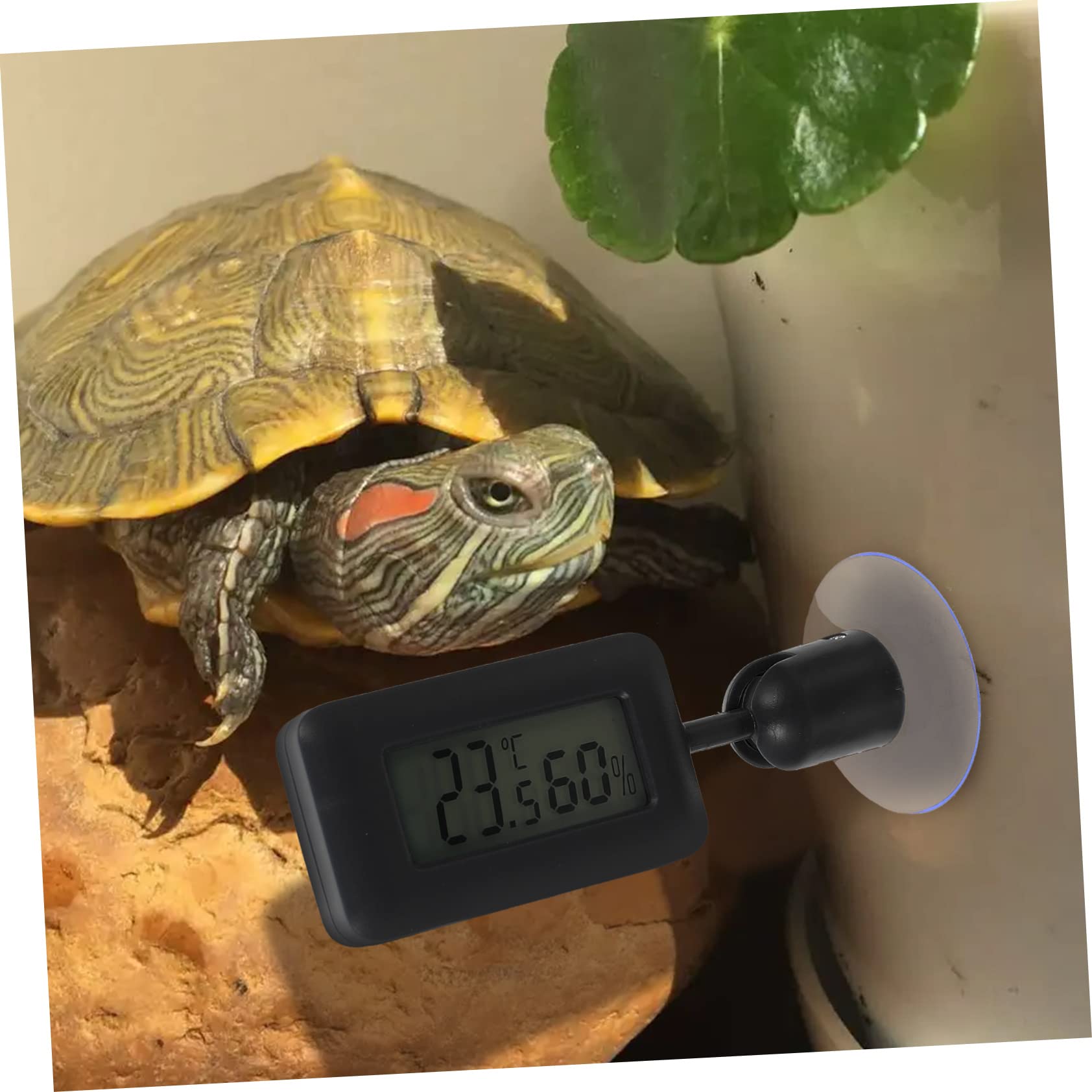 DOITOOL 4piezas Digital Para Reptiles Succión Medidor De Temperatura y Humedad Rotativo Para Terrarios y Acuarios Pantalla y Fácil Instalación