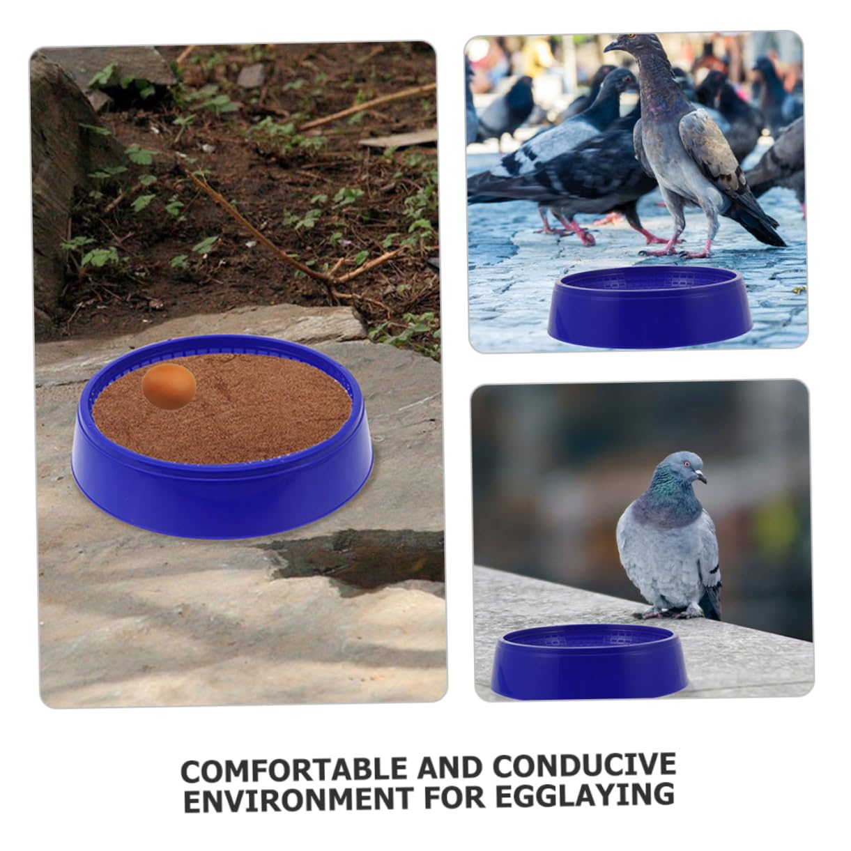 Hemobllo 8 Pezzi Ciotole per Allevamento Piccioni in Plastica Blu, Accessori per Nidi Uccelli, Promuove la Riproduzione Sana, per Allevamento di Piccoli Uccelli