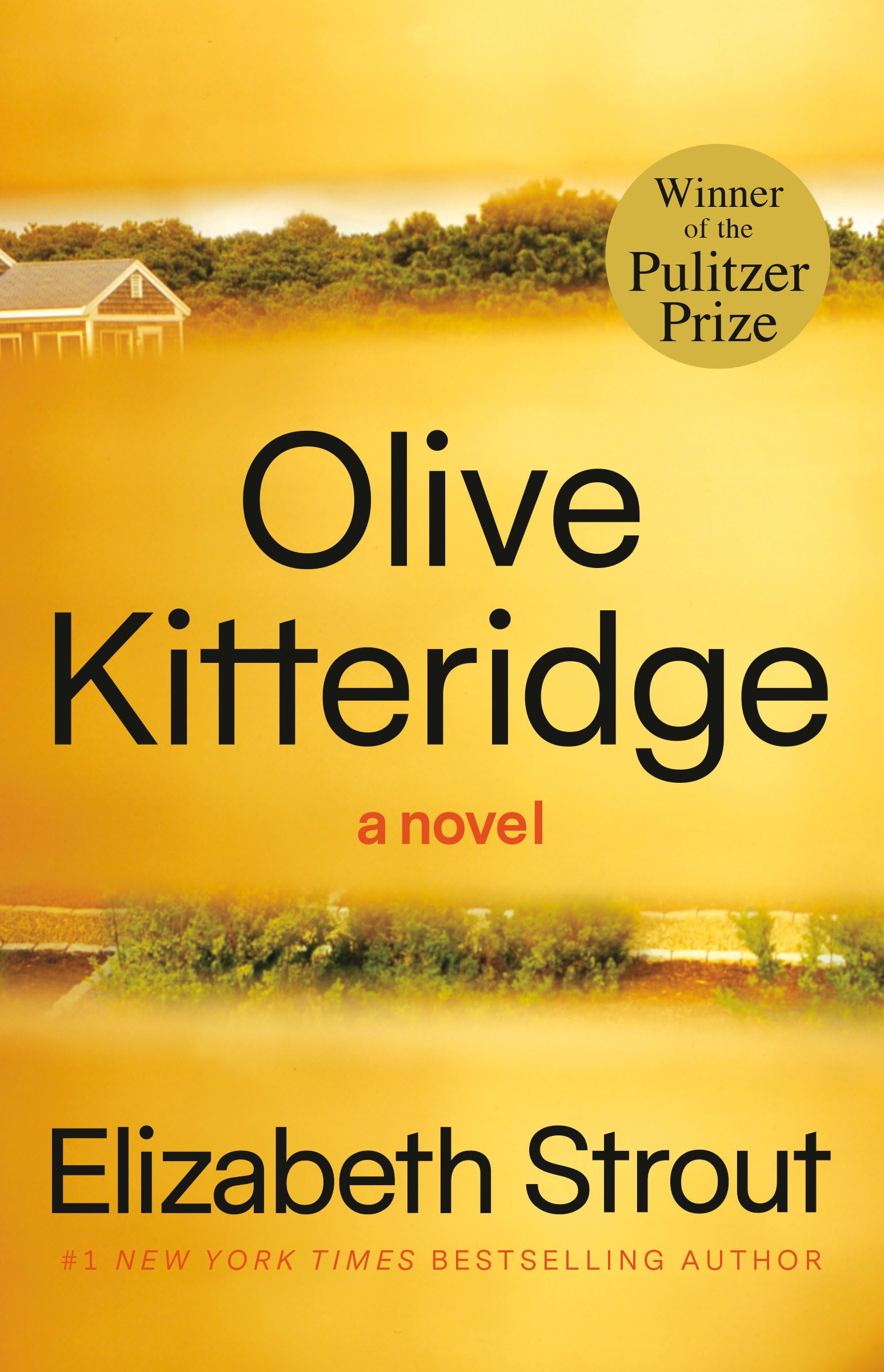 Olive Kitteridge Strout, Elizabeth 9780812971835 Books