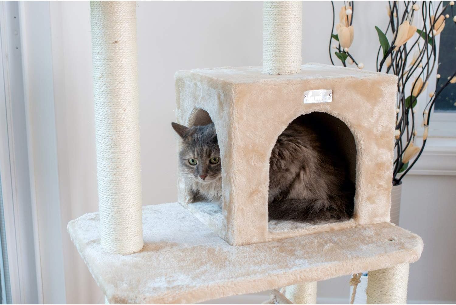 GP78570921 Cat Tree with Ramp, 57-Inch, Beige