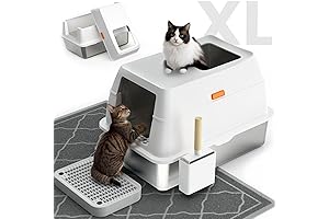 Extra Small Litter Box for Kittens: The Purrfect Potty Solution