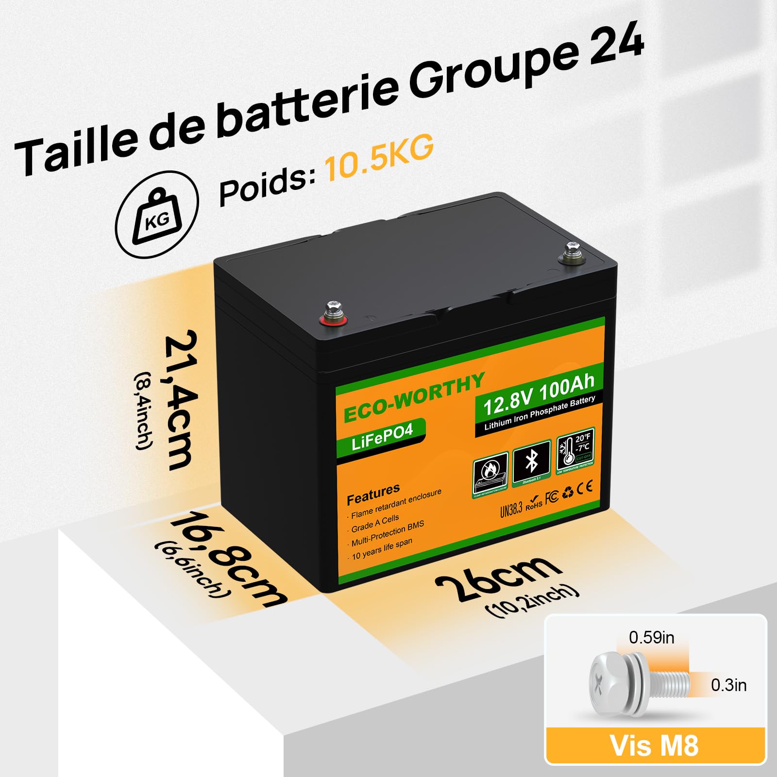 ECO-WORTHY Bluetooth Batterie Lithium 12V 100AH avec Protection de BMS et de Basse Température, LiFePO4 Batterie avec 4000 à 15000 Cycles pour Camping Car, Caravane, Bateau, Panneau Solaire