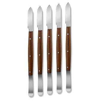 Fahnestock Wax and Porcelain Molding Carvers Dental Laboratory Technician Kit Wax & Modelling Carvers Mixing Spatula 5 Pcs