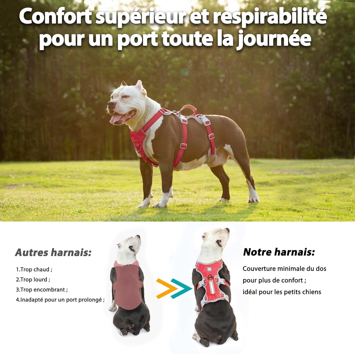 Huntboo Harnais Anti-évasion pour Chien, Harnais d'artiste d'évasion,Respirant, Durable, Gilet réglable pour Chiens de Taille Moyenne, Marche, entraînement et équipement de Course (Rouge, S)